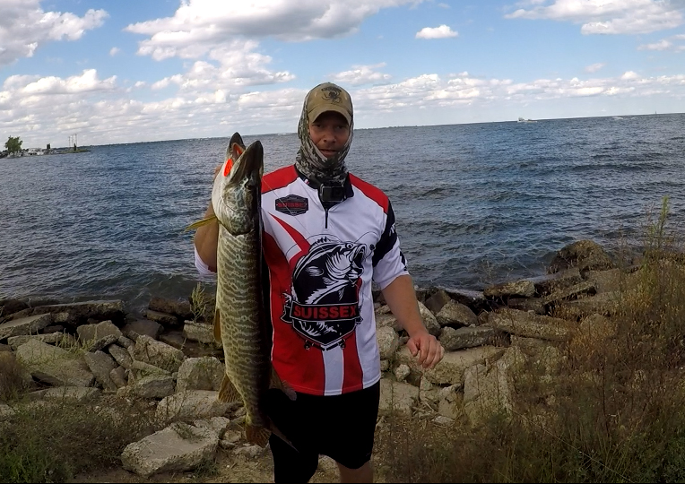 tiger-musky-lake-st-clair.jpg