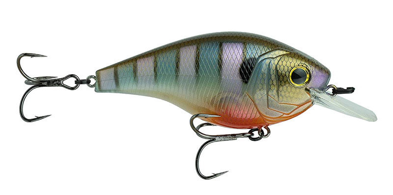 6th-sense-magnum-crankbait-musky-fishing.jpg