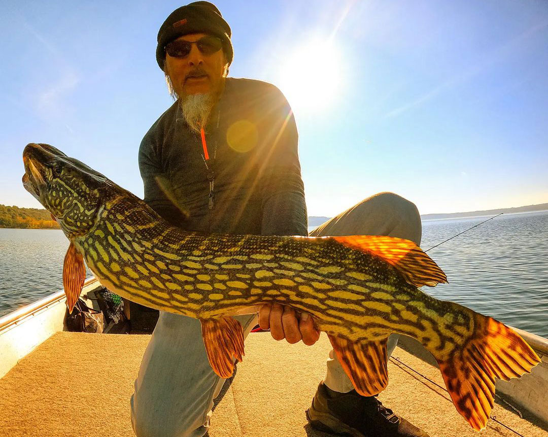 ettore-marella-esox-flaviae.jpg