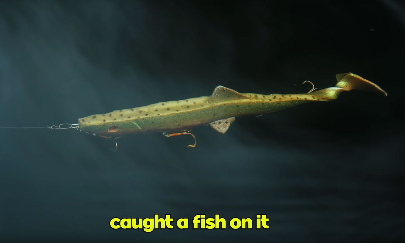 giant-musky-swimbait-underwater.jpg