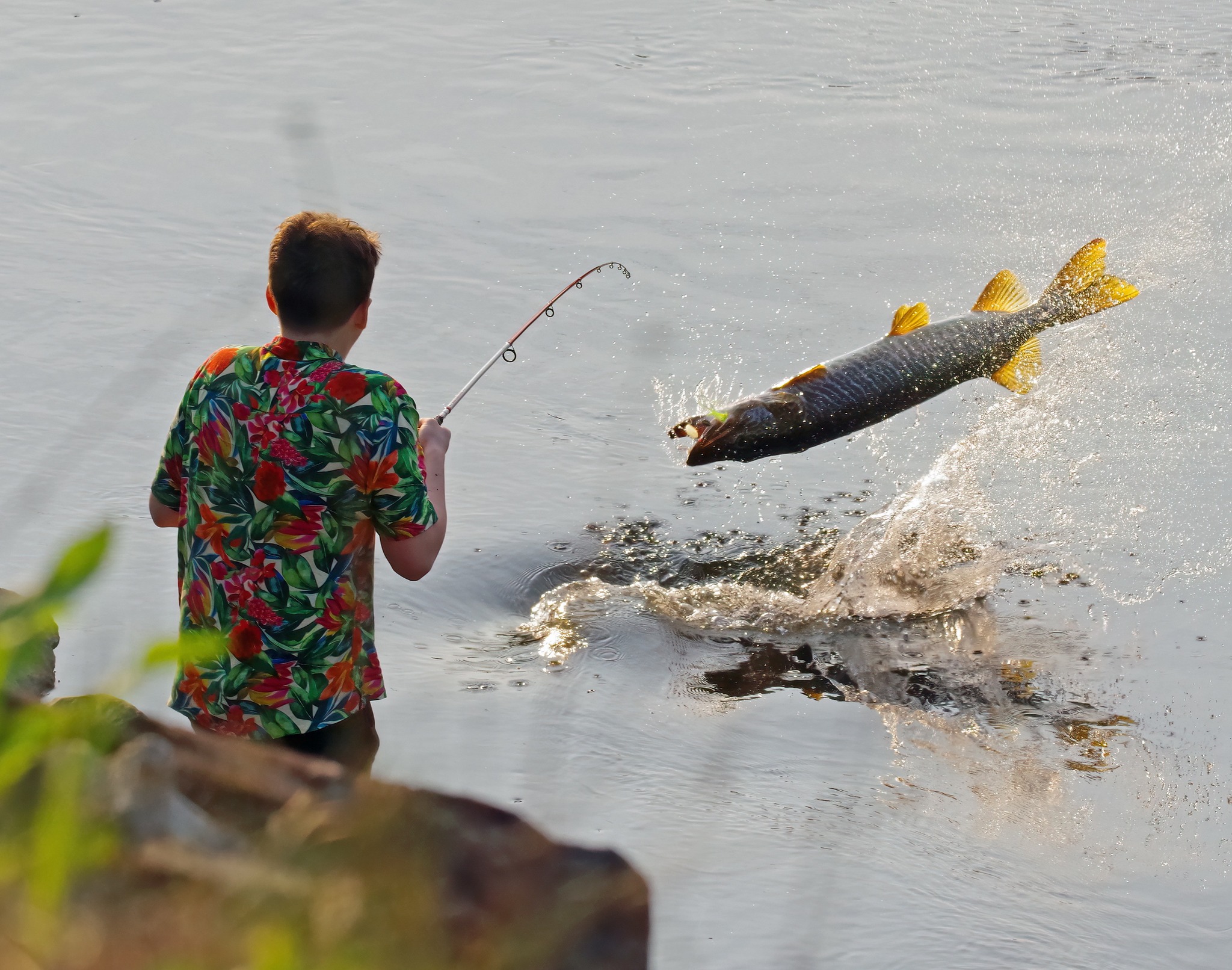 Thread 'Giant Tiger Musky Jumping out of Water in Connecticut'