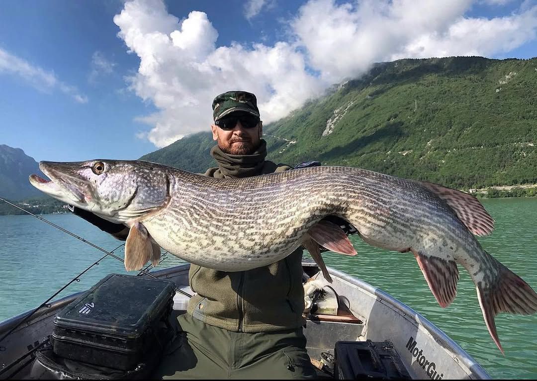 huge-northern-pike-mountain-background.jpg