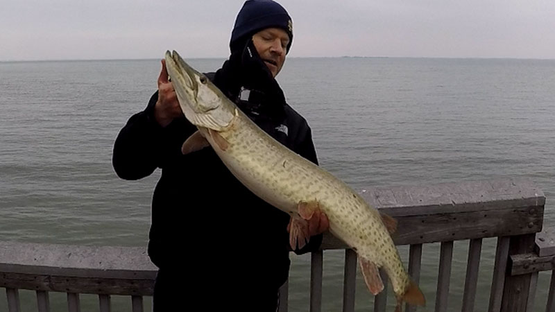 musky-lake-st-clair-metro-park.jpg