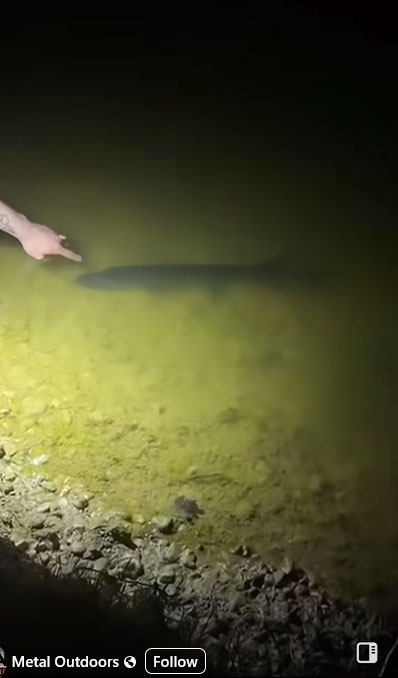 Thread 'Northern Pike Bites Fisherman'