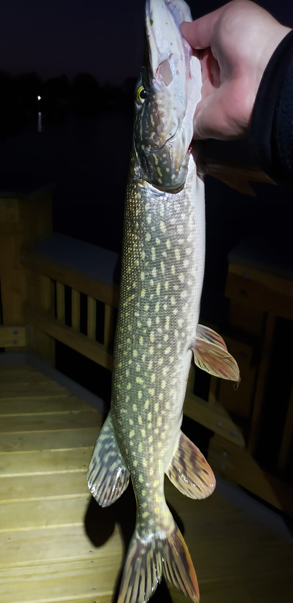 northern-pike-night-fishing-lake-st-clair.jpg