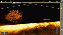 northern-pike-strikes-bait-ball-humminbird-mega-live-2.jpg