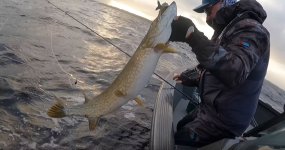 huge-pike-fishing-ireland.jpg