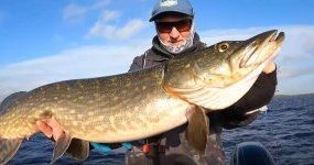 big-irish-pike-esox.jpg
