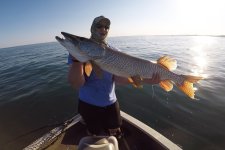 huge-tiger-musky-swimbait-lake-st-clair.jpg