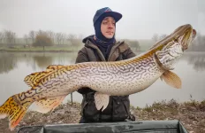 big-northern-pike-country-hungary.webp