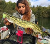 souther-pike-paris-france-esox-flaviae.jpg