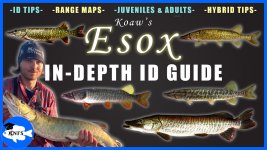 esox-genus-species-musky-pike.jpg