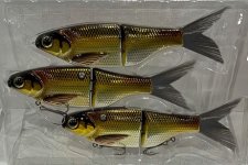 new-musky-lure-2025.jpg