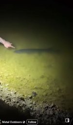 northern-pike-bites-fisherman.jpg
