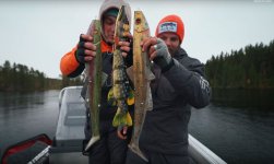 biggest-northern-pike-swimbait.jpg
