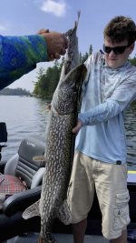 northern-pike-devours-trout-eagle-lake-ontario-canada.jpg