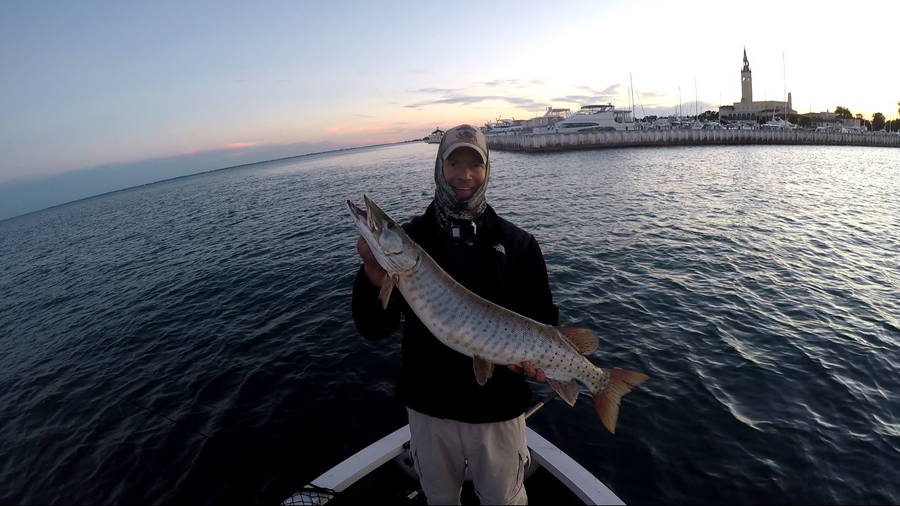 Big Musky on Chaos Posseidon at Grosse Pointe Shores Park Lake St. Clair